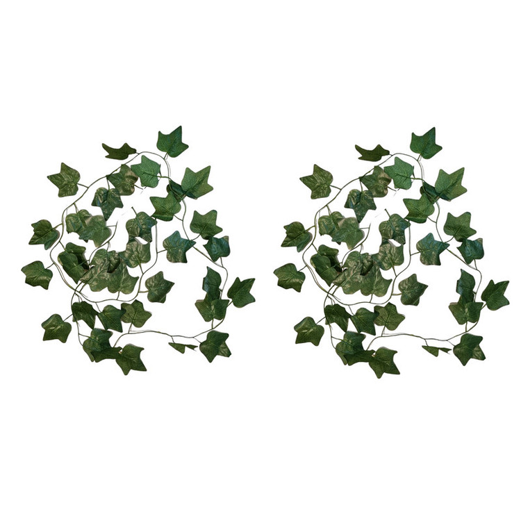 ریسه برگ پاپیتال بسته 2 عددی
