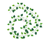 ریسه برگ نخی پتوس لمسی