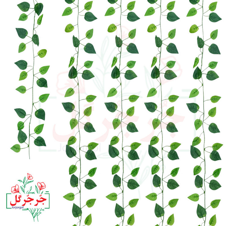 ریسه برگ نخی پتوس لمسی