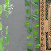 ریسه برگ نخی پتوس لمسی