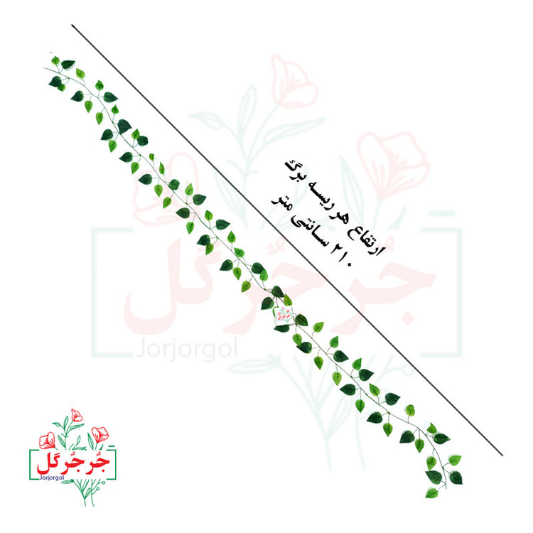 ریسه برگ نخی پتوس لمسی