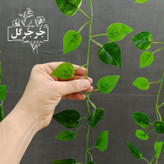 ریسه برگ نخی پتوس لمسی