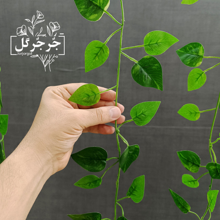 ریسه برگ نخی پتوس لمسی
