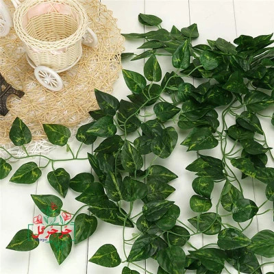 ریسه برگ پتوس