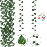 ریسه برگ پتوس