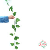 ریسه برگ پتوس