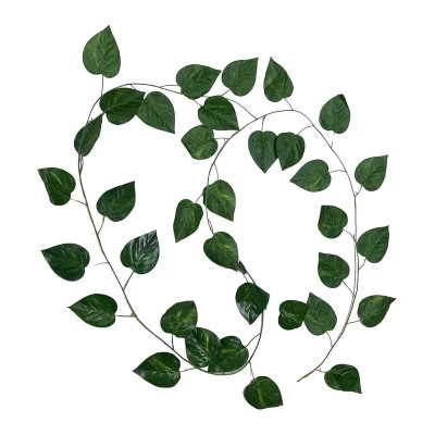 ریسه برگ پتوس