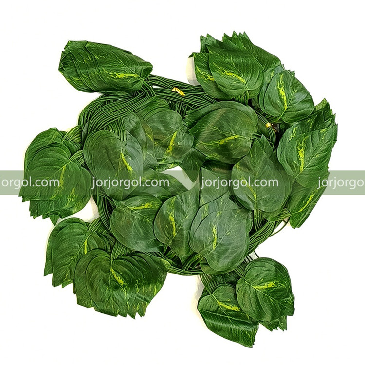 ریسه برگ پتوس بسته 12 عددی