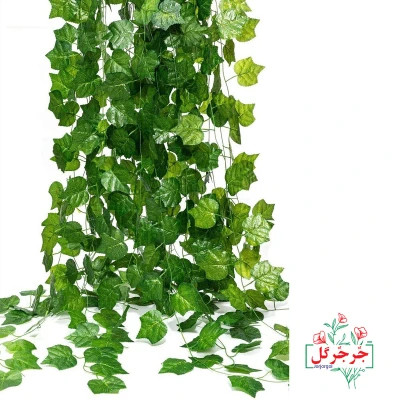 ریسه برگ انگور بسته 6 عددی