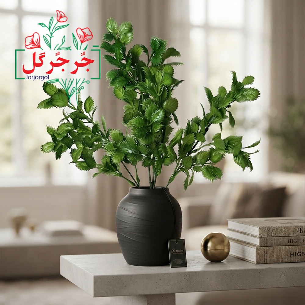 بوته برگ گشنیز برند جُرجُرگل