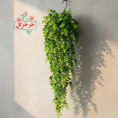 آویز اکالیپتوس 5 بازو