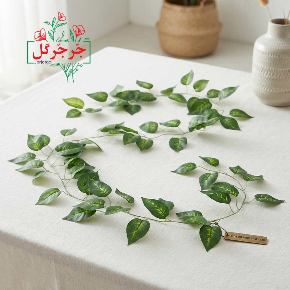 ریسه برگ لمسی طرح پتوس ابلغ رونده برند جرجرگل