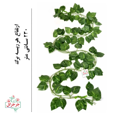 ریسه برگ پتوس بسته 10 عددی