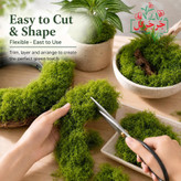 خزه مصنوعی بسته 50 گرمی