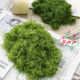 خزه مصنوعی بسته 100 گرمی