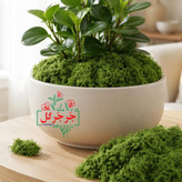 خزه مصنوعی بسته 100 گرمی