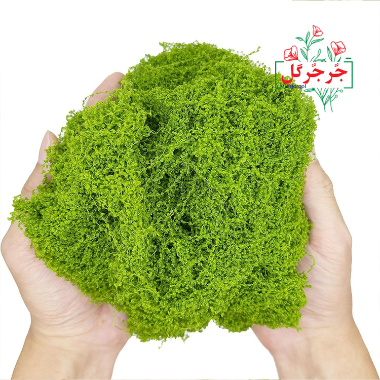 خزه مصنوعی بسته 100 گرمی