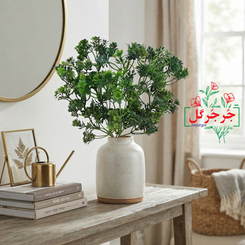 بوته نارون