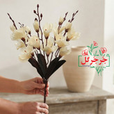 بوته گل آلستر 20 گل