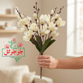 بوته گل آلستر 20 گل