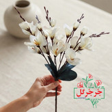 بوته گل آلستر 20 گل