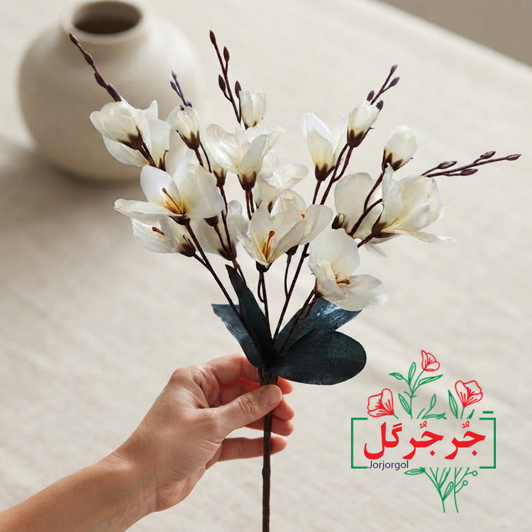 بوته گل آلستر 20 گل
