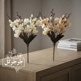 بوته گل آلستر 20 گل