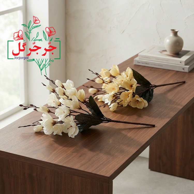 بوته گل آلستر 20 گل