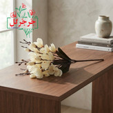 بوته گل آلستر 20 گل