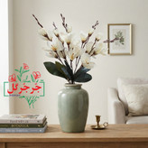 بوته گل آلستر 20 گل
