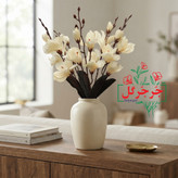 بوته گل آلستر 20 گل