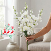 بوته گل آلستر 40 گل