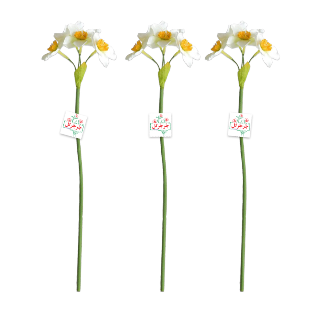 شاخه گل نرگس بسته 3 عددی