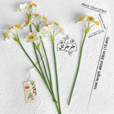 شاخه گل نرگس بسته 3 عددی