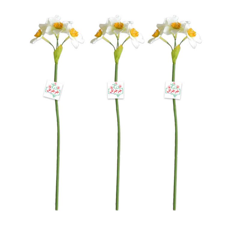 شاخه گل نرگس بسته 6 عددی