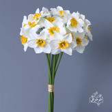 شاخه گل نرگس بسته 6 عددی