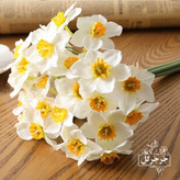 شاخه گل نرگس بسته 6 عددی