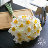 شاخه گل نرگس بسته 6 عددی